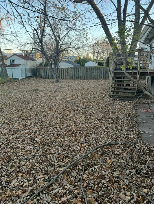 Avant le ramassage des feuilles